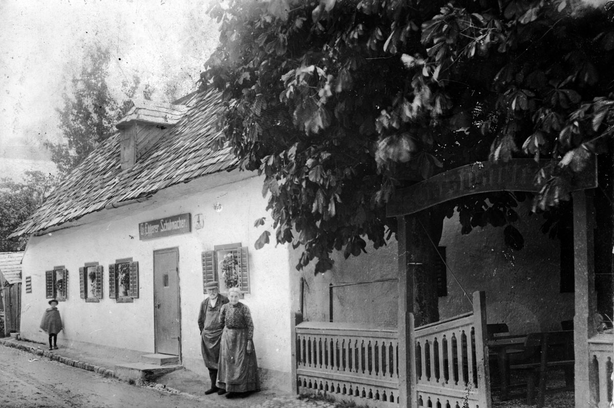 Ansicht Seehotel im Weyer 1890 im Salzkammergut am Traunsee